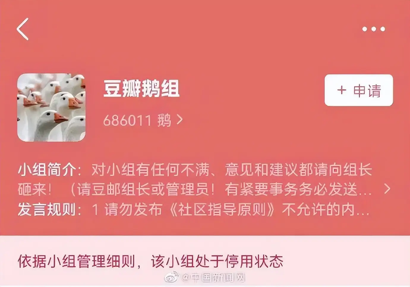 豆瓣鹅组